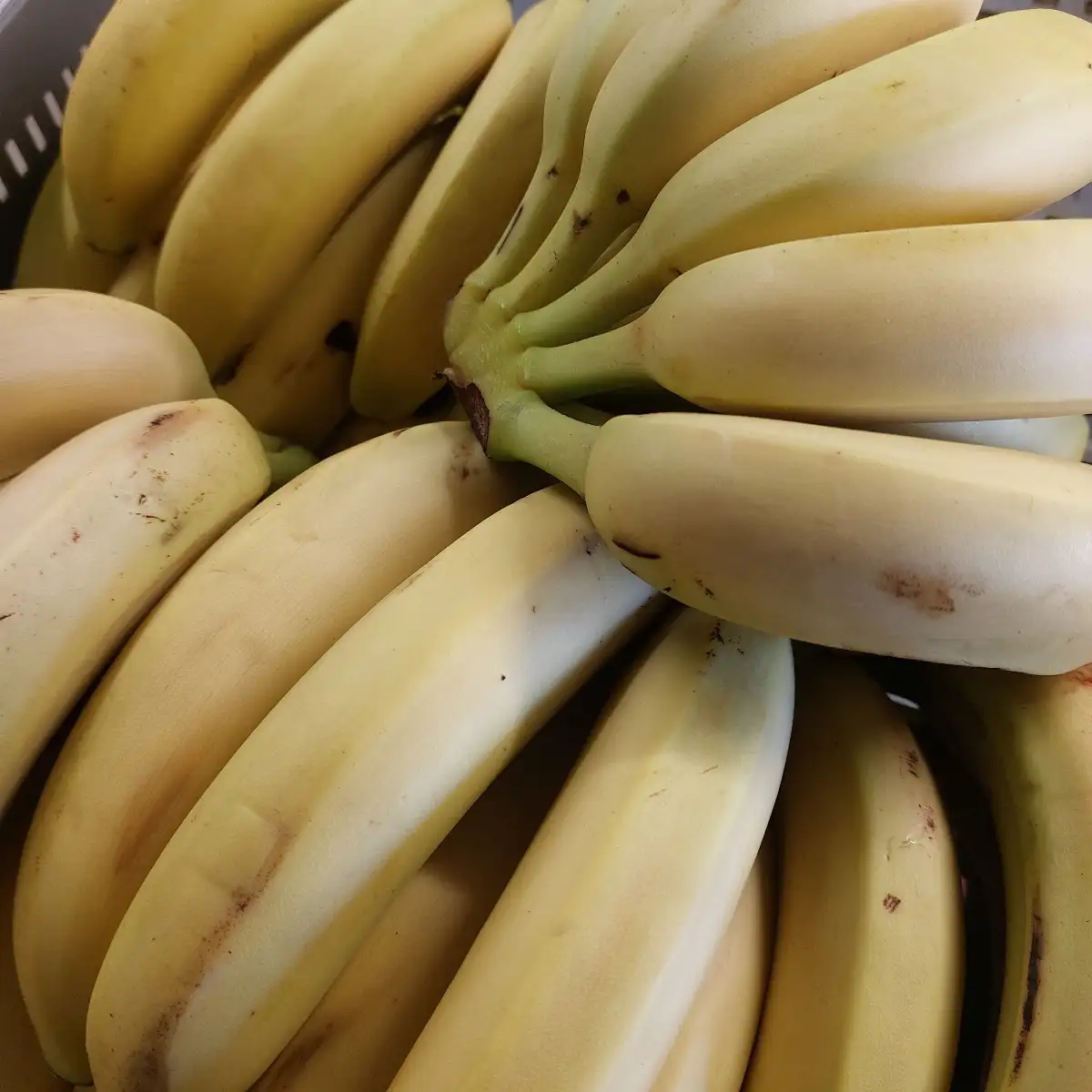 Bananes