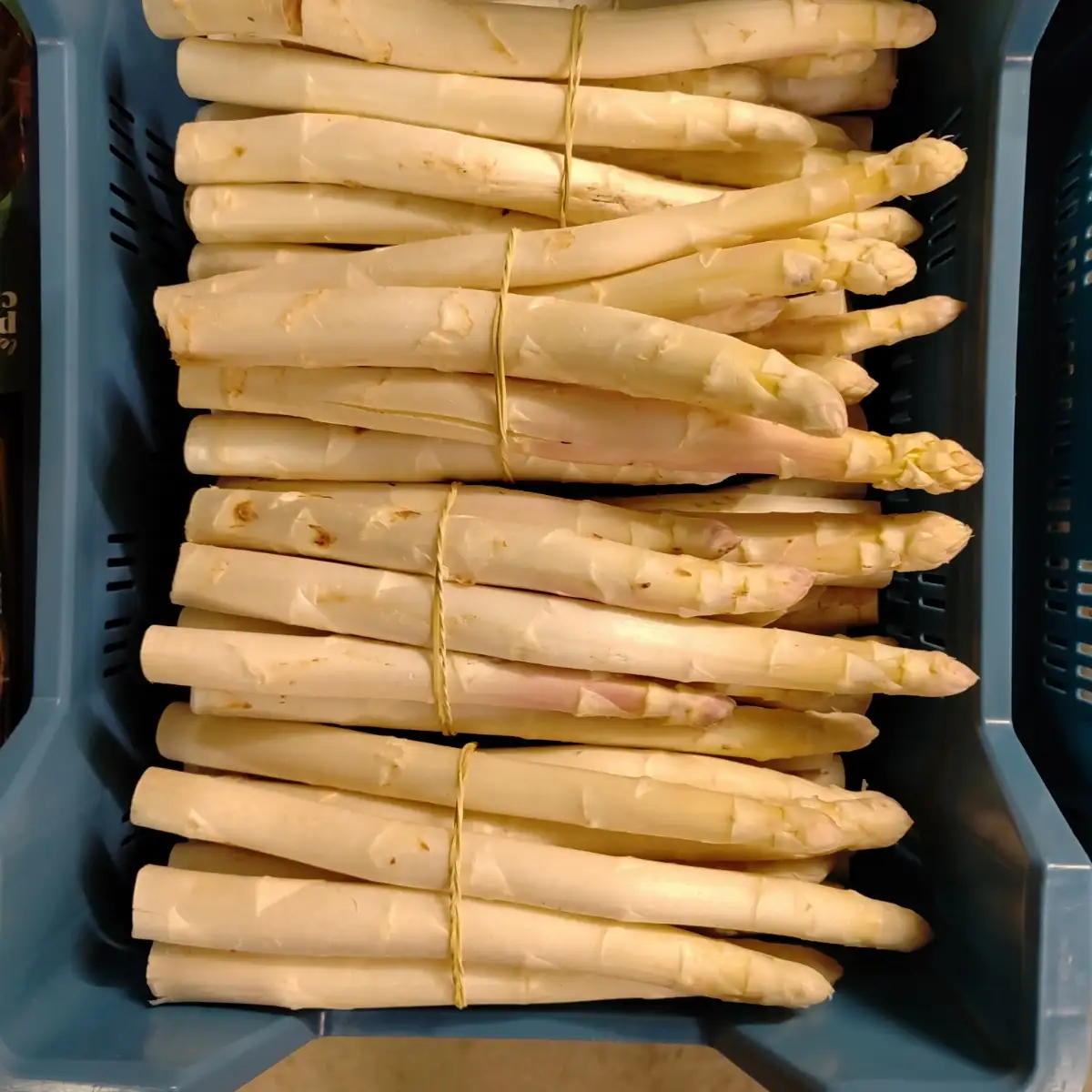 Asperges blanches