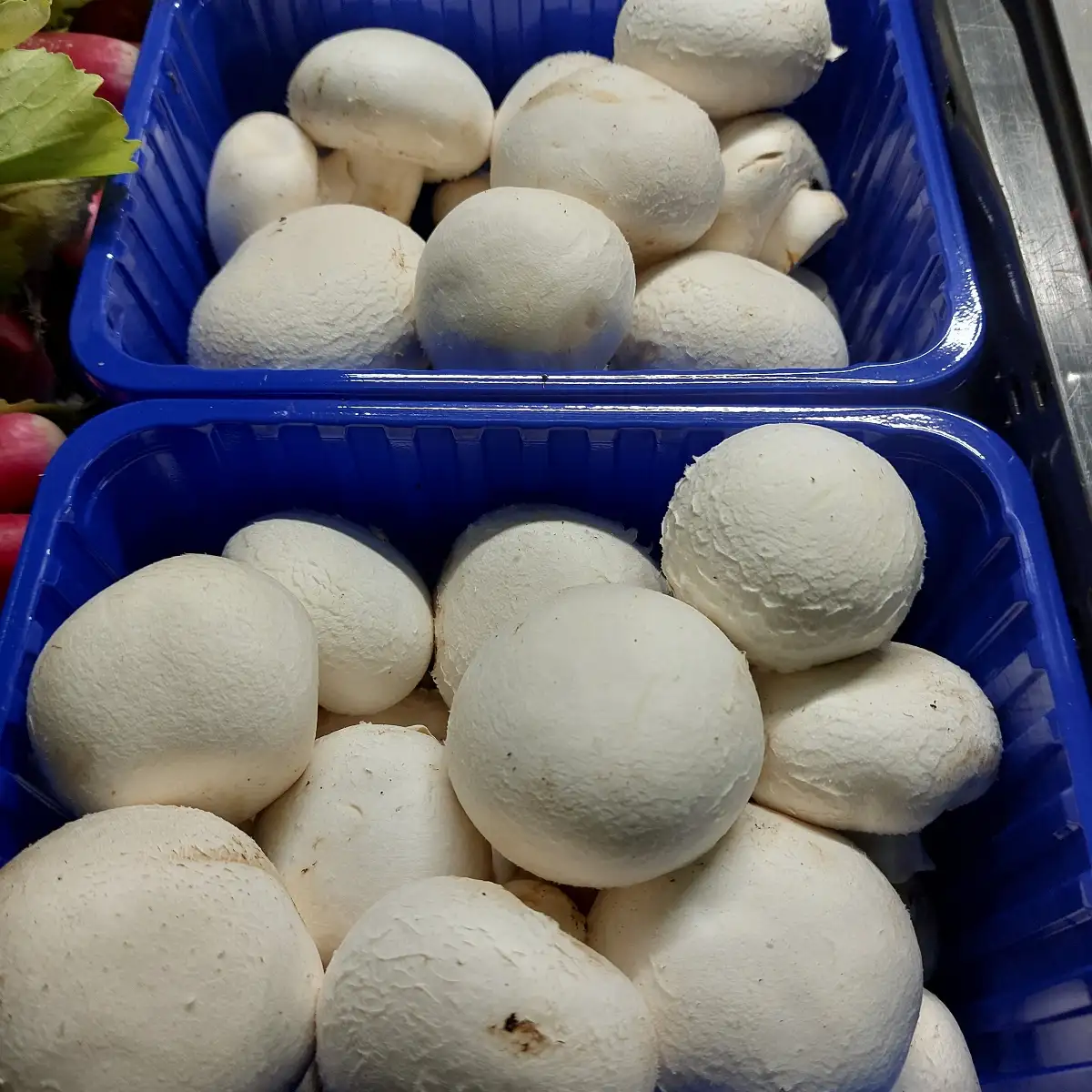 Champignon de Paris