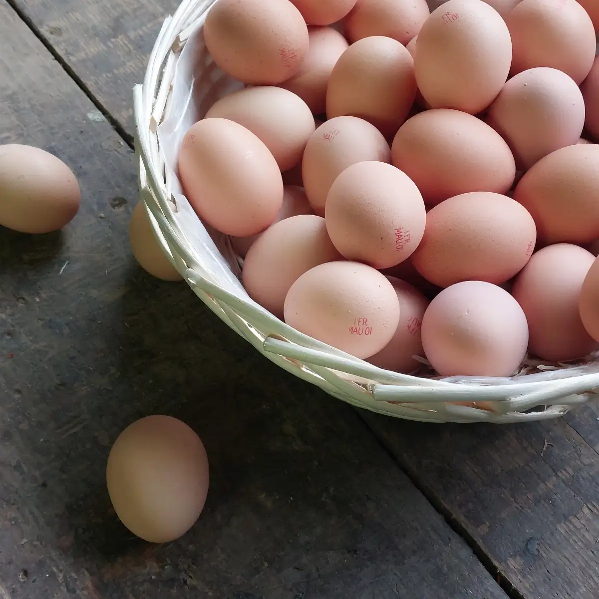 Oeufs fermiers