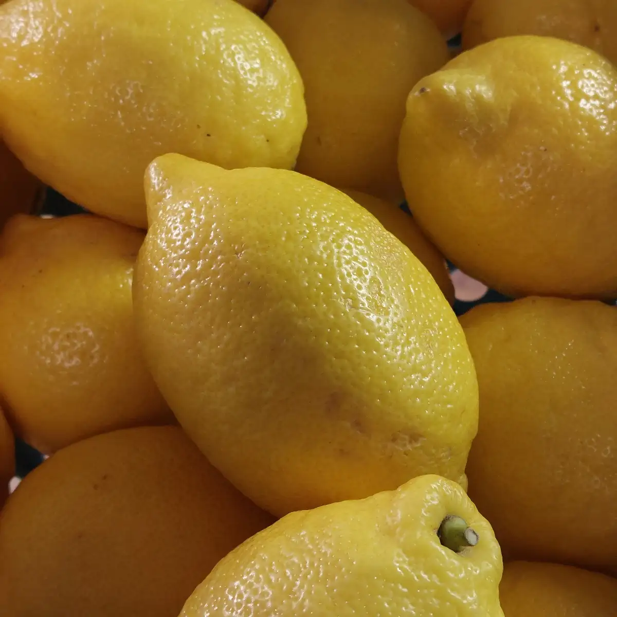Citron jaune