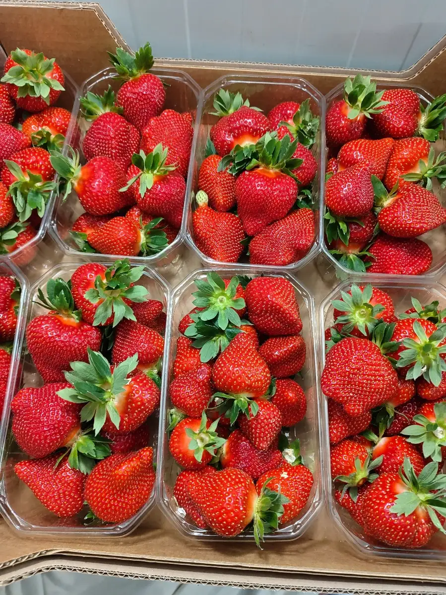 Fraise de meuse